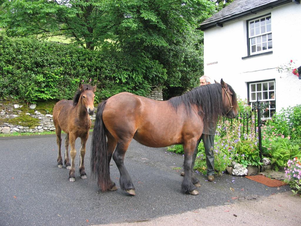 High Fold Guest House Troutbeck  Luaran gambar