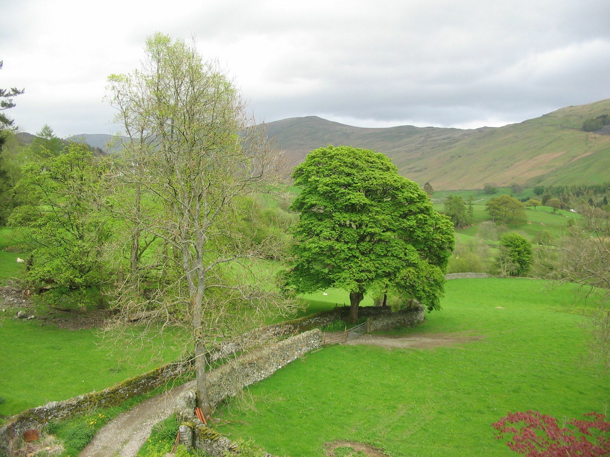 High Fold Guest House Troutbeck  Luaran gambar
