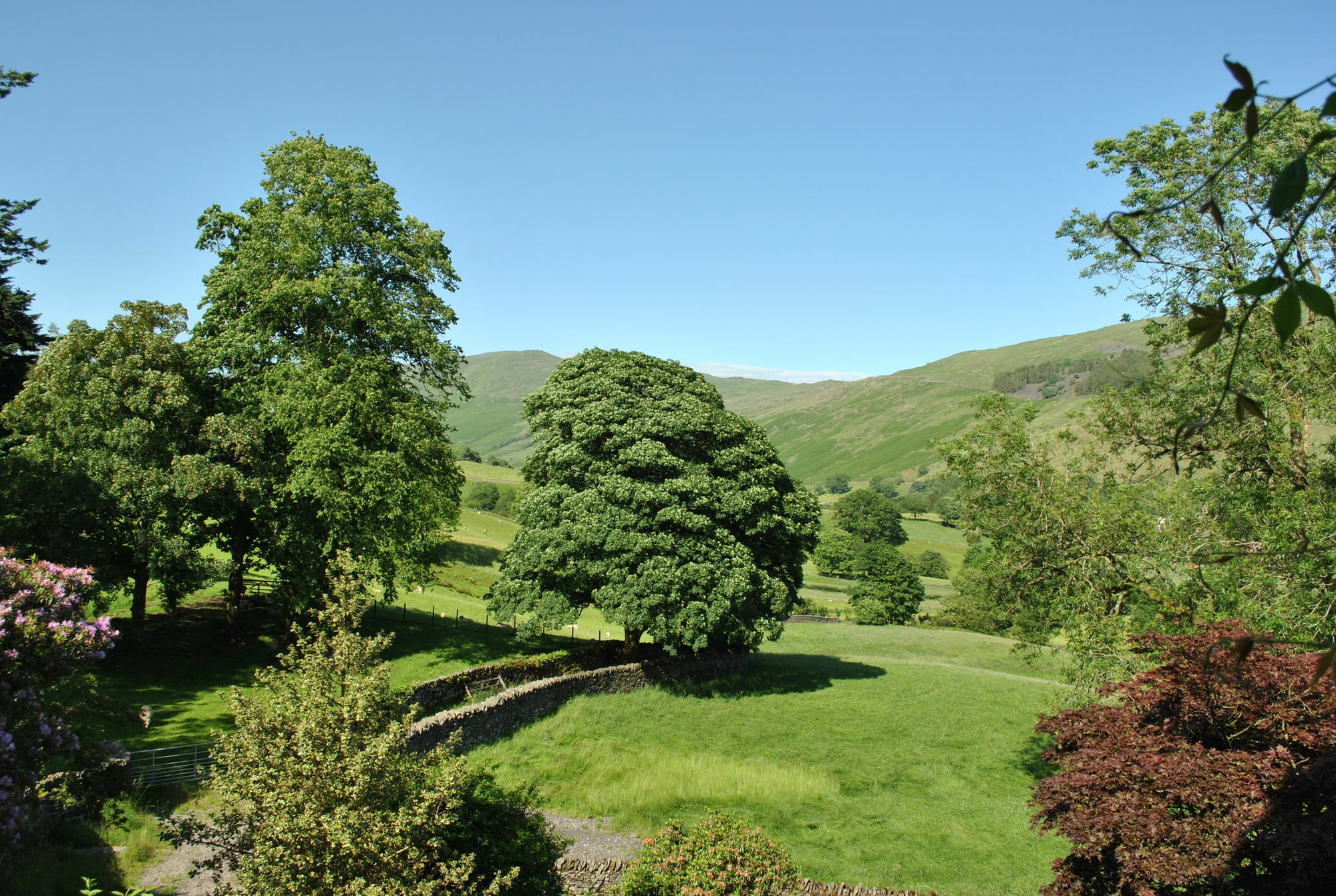 High Fold Guest House Troutbeck  Luaran gambar